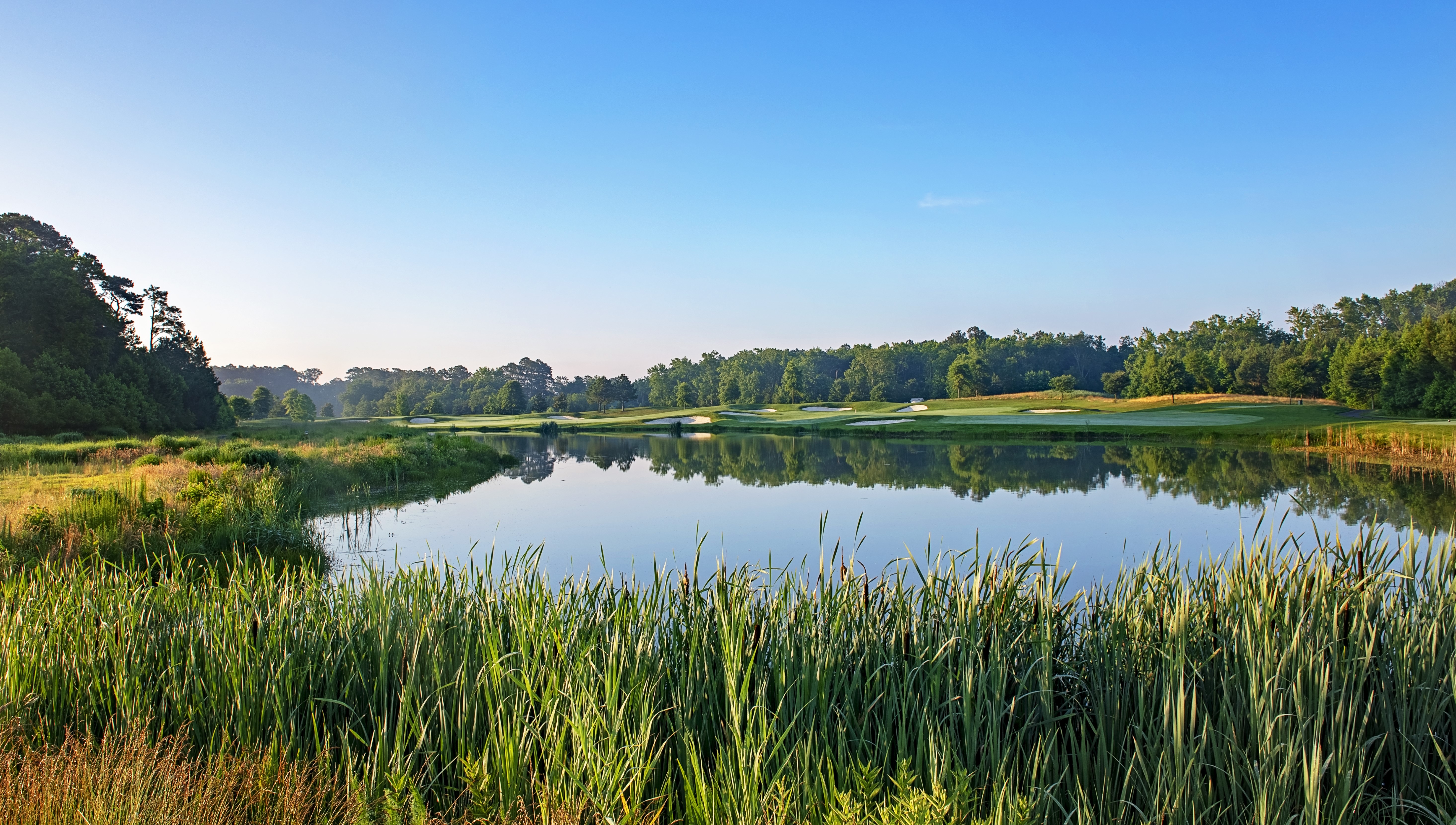 golf course and surrounding trees