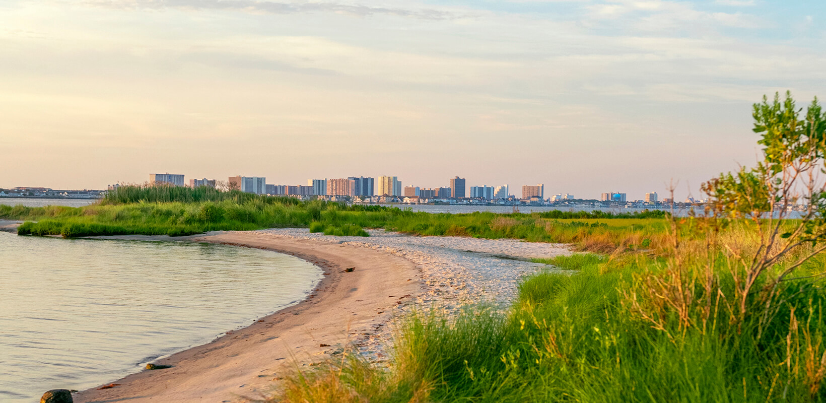 beach with city skyline in the background