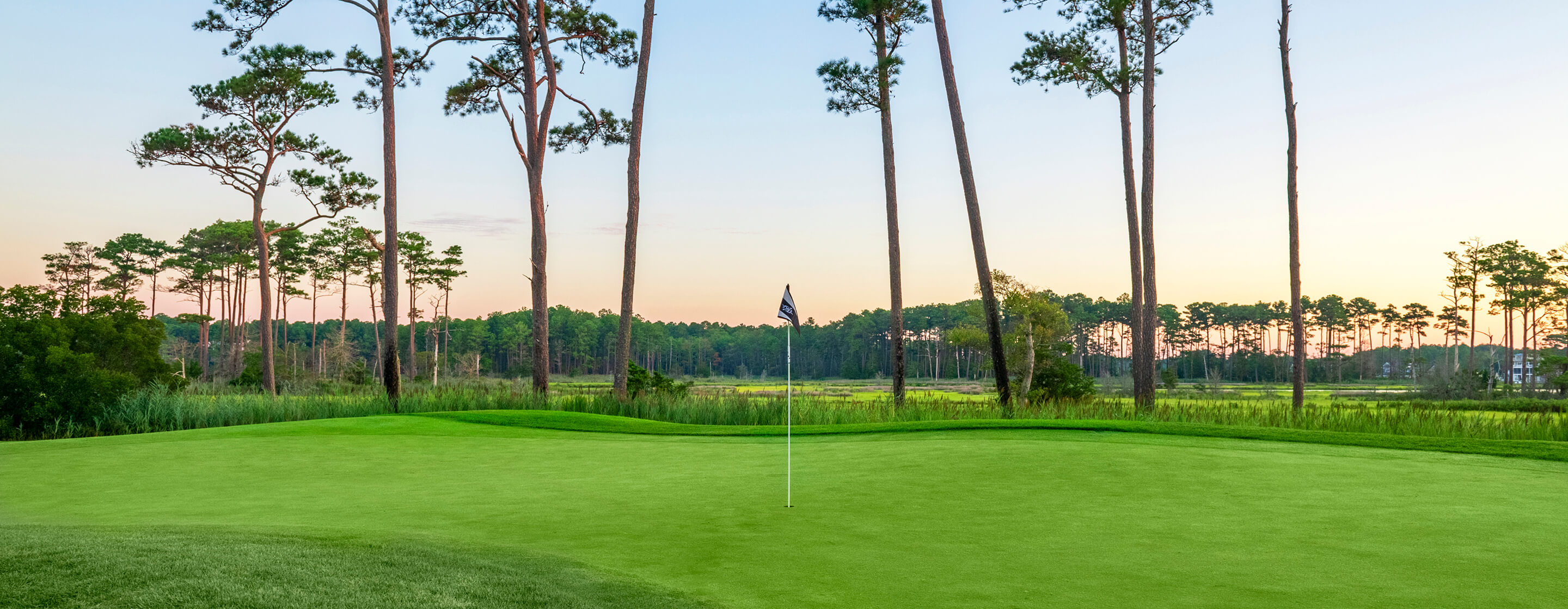 golf flag on green with surrounding trees